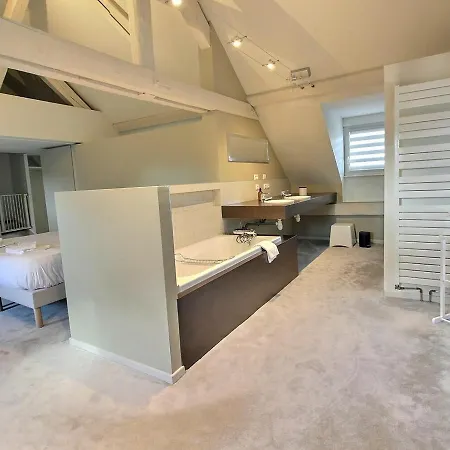 Maison De Caractere Avec Jacuzzi Et Parking A Deux Pas Du Centre Historique De - Fr-1-722-3 Feriehus