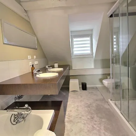 Maison De Caractère Avec Jacuzzi Et Parking à Deux Pas Du Centre Historique De - Fr-1-722-3 * Colmar