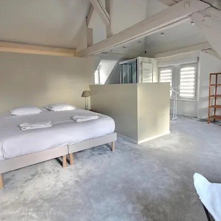 Maison De Caractere Avec Jacuzzi Et Parking A Deux Pas Du Centre Historique De - Fr-1-722-3 Hébergement de vacances *