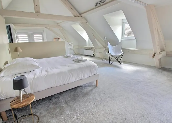 Maison De Caractere Avec Jacuzzi Et Parking A Deux Pas Du Centre Historique De - Fr-1-722-3 別荘 コルマール